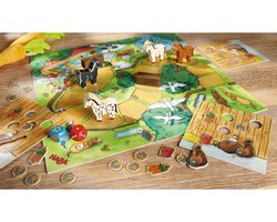 Haba Hop in Galop - Paardenspel voor 3+ jaar - 2 tot 4 spelers